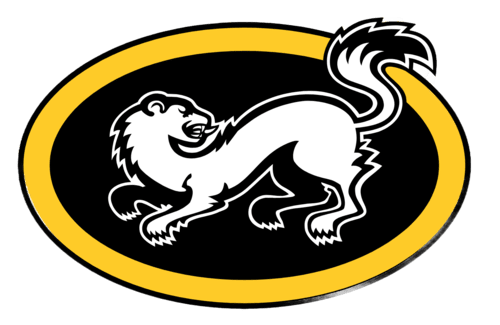 Logo feedback picture evaluation — Oulun Kärpät logo